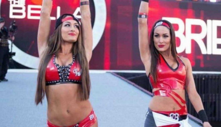 WWE's Total Bellas Reveal Baby Milestones