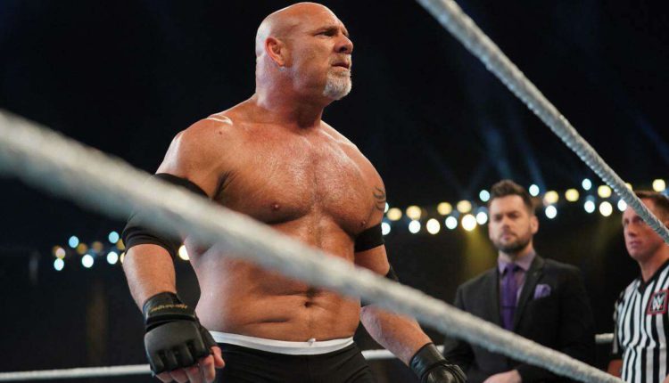 Goldberg Among Names Added to WWE 2K Battlegrounds