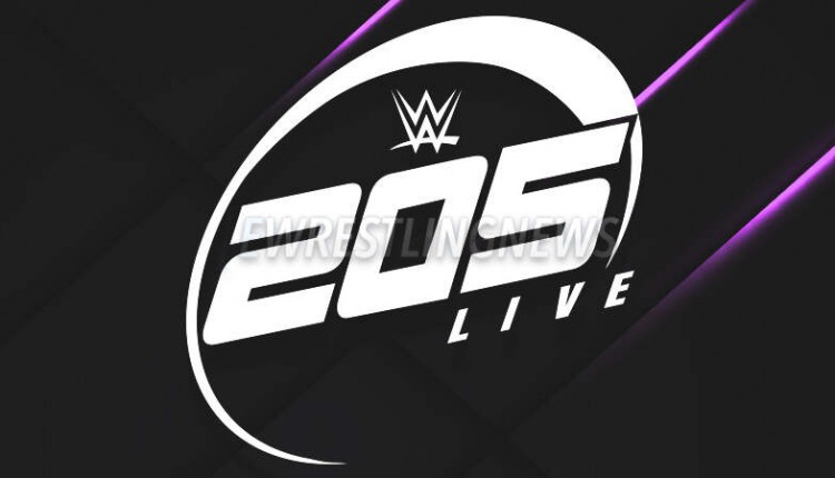 New #1 Contender Announced Following This Week's WWE 205 Live Broadcast