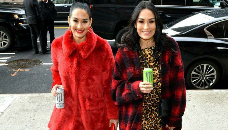 Nikki and Brie Bella could make wrestling comeback with their sons one day | Entertainment