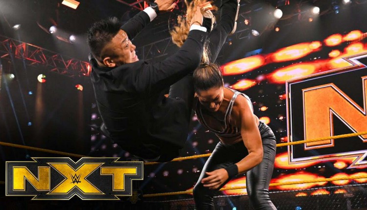 Possible Role For The Mystery Man From WWE NXT Segment With Boa