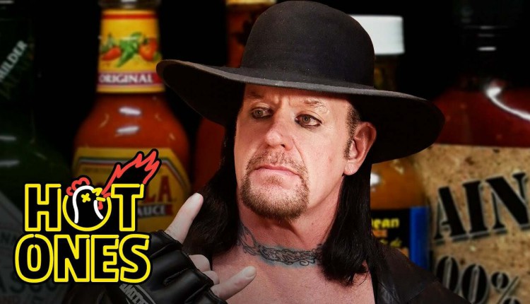 The Undertaker Reveals His Best Matches For New Wrestling Fans