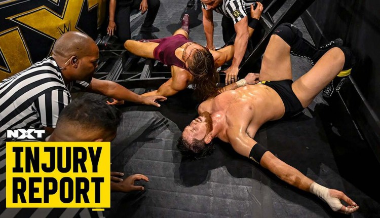 WWE Announces Injuries To Timothy Thatcher, Indi Hartwell, Kyle O'Reilly And Pete Dunne