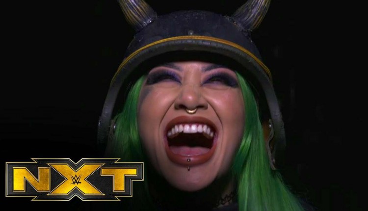 WWE NXT Ladder Match Set For Next Wednesday, "Takeover: WarGames 2020" To Air On Pay-Per-View