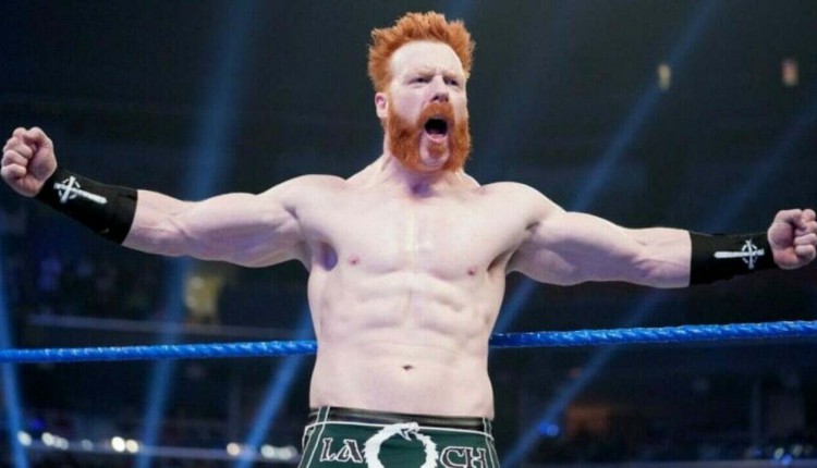 WWE Studios’ Next Film To Be Released Next Week - Sheamus Featured
