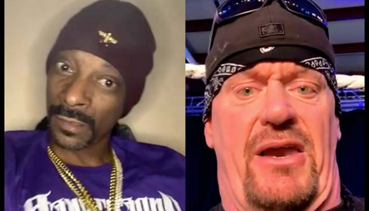 The Undertaker On People Being Divided In Today's Society, Touching Fan Stories