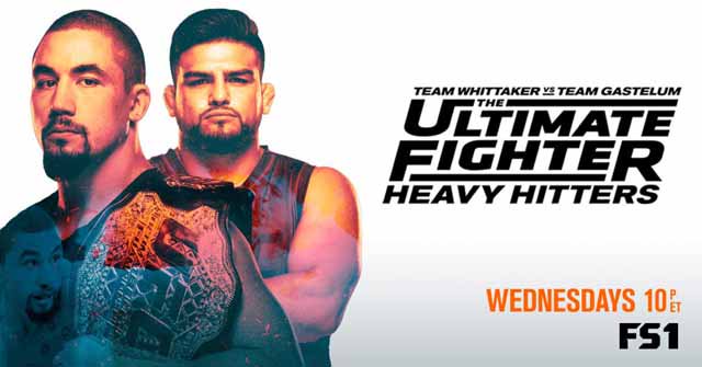 Watch The Ultimate Fighter: Heavy Hitters Season 28 Episode 10 Full Show Online Free
