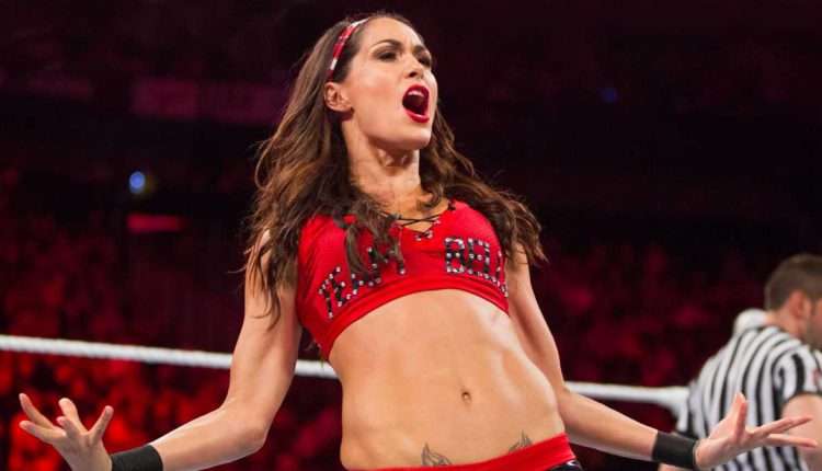 Brie Bella announced for "The Real Dirty Dancing" competition series on FOX -