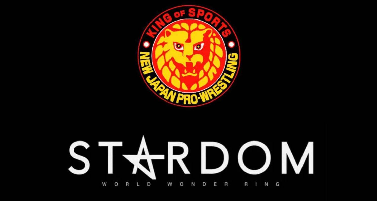 New Japan Pro Wrestling now owns STARDOM!